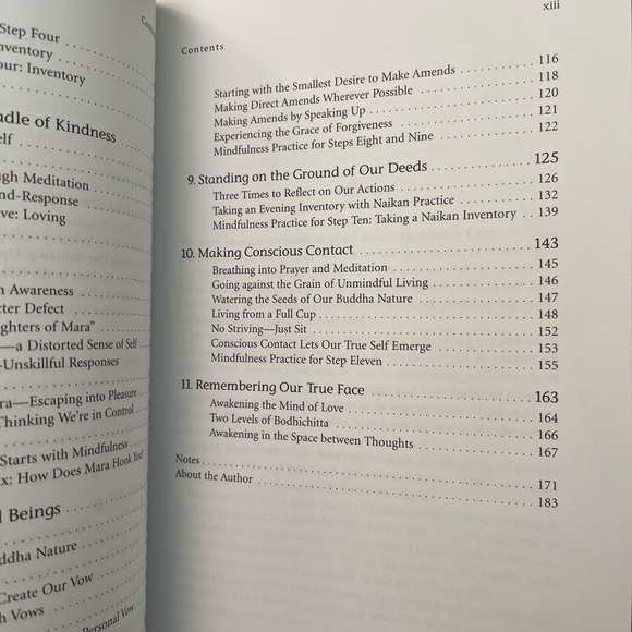 Mindfulness and the 12 Steps : Living Recovery in the Present Moment by Thérèse - Picture 7 of 14